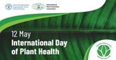 Read more about the article International Plant Health Day- Plant Health Clinic